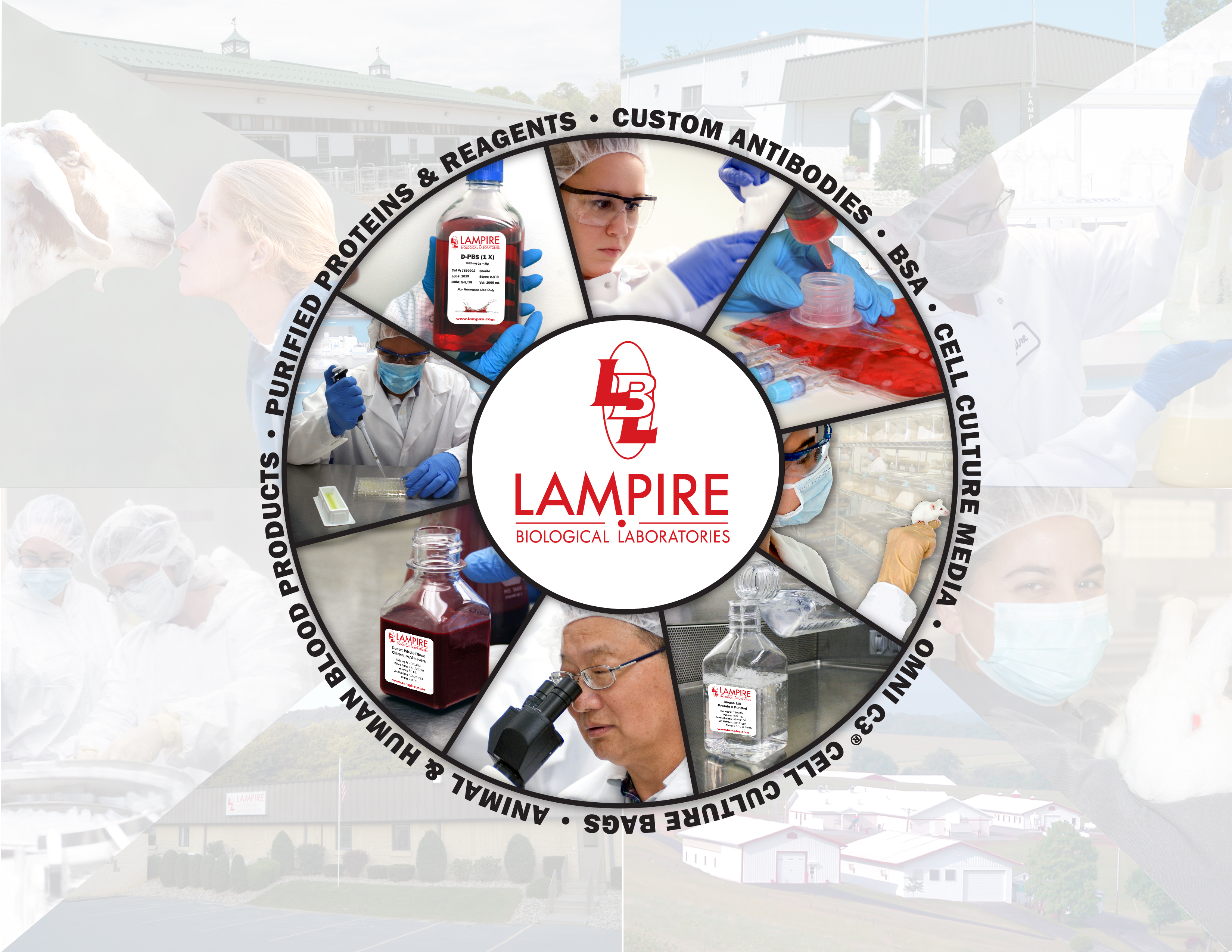Presentation Cover