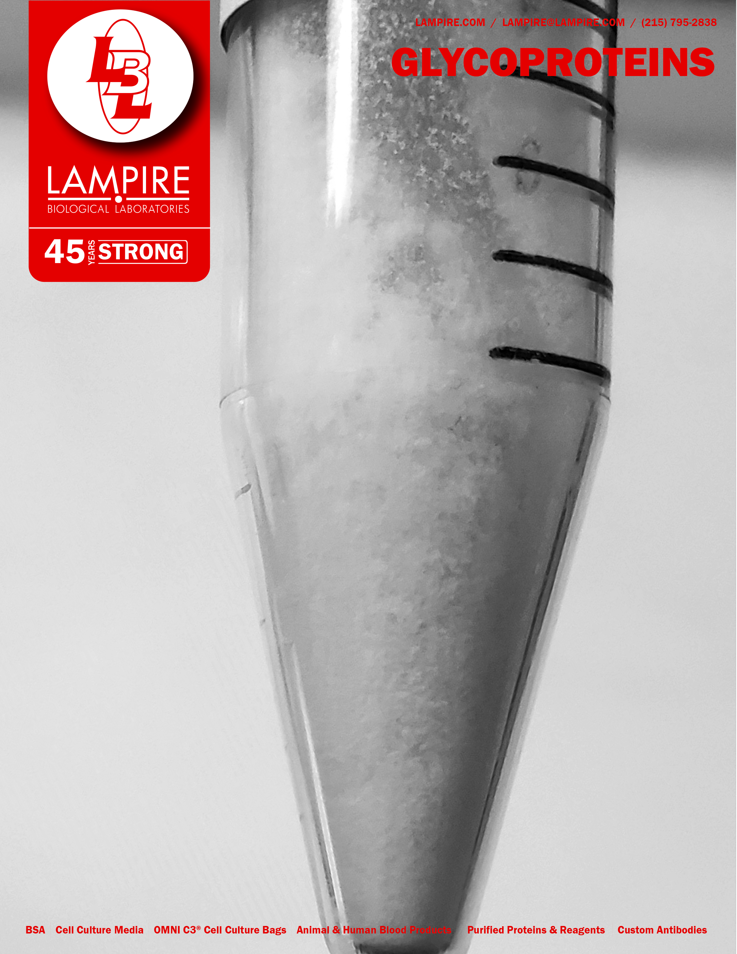 GLYCOPROTEINS