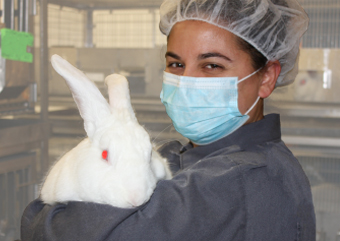 Custom Antibodies Services