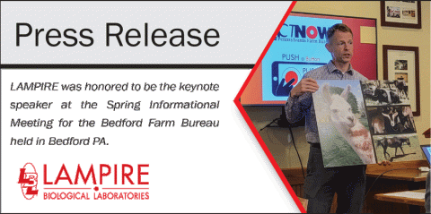 Press Release Banner